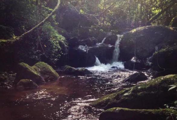 Hospedaria Kanach' - Pequena Cabana Arev com Cachoeira Particular São Francisco Xavier Exterior foto