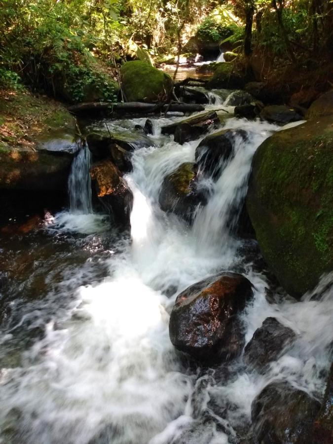 Hospedaria Kanach' - Pequena Cabana Arev com Cachoeira Particular São Francisco Xavier Exterior foto